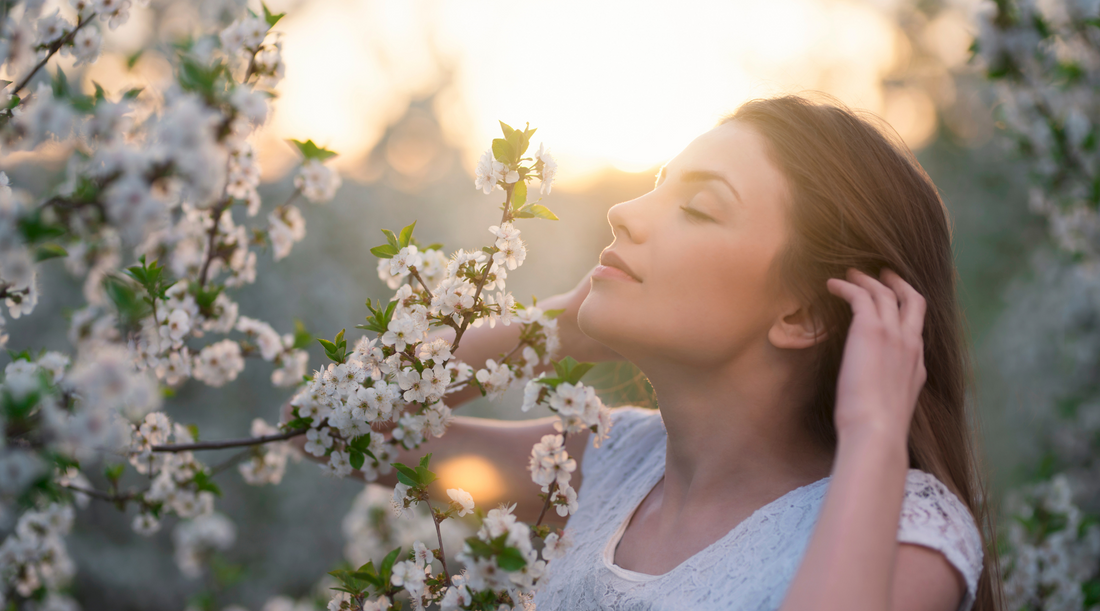 How to Choose the Best Scent for Different Rooms