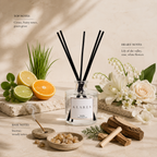 Hylsha Reed Diffuser 100ml | Hilton-Inspired