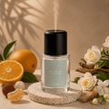 Snow Lagoon Electric Mist Diffuser 130ml | Orange, Lychee, Sandalwood