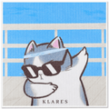 Swedish Dish Cloth – Dabbing Cat